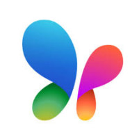 MSN Icon