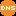 DNS Icon