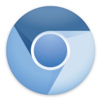 Chrome Webview Icon