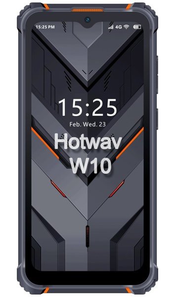 W10 Icon