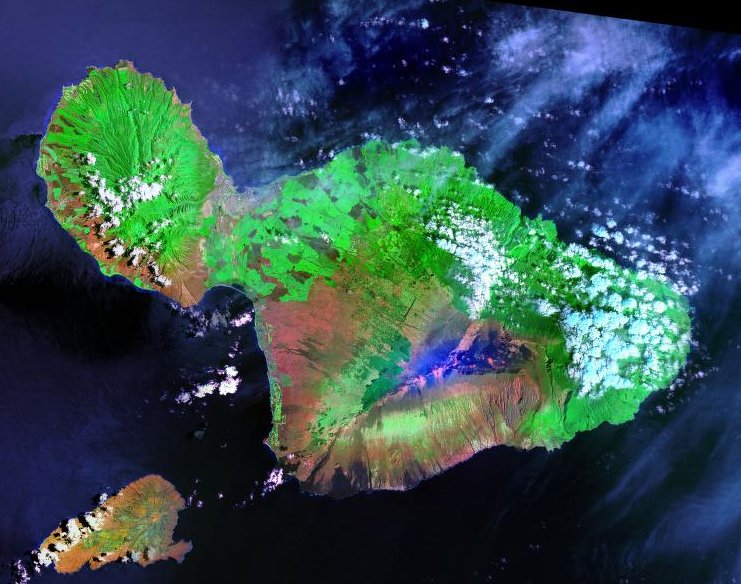 Orbic Maui