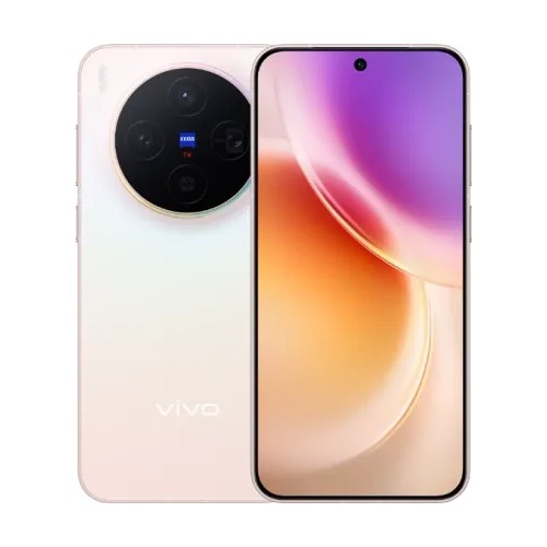 Vivo X300
