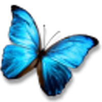 MorphOS Icon