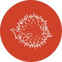 OpenBSD Icon