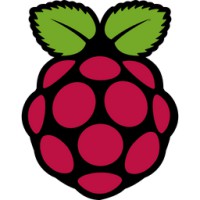 Raspberry Pi OS Icon